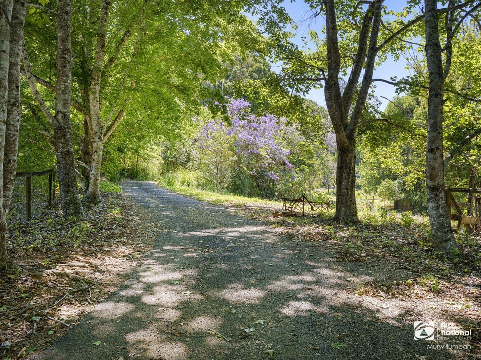 34 Meadow Place, Uki NSW 2484, Uki - Thumbnail 3
