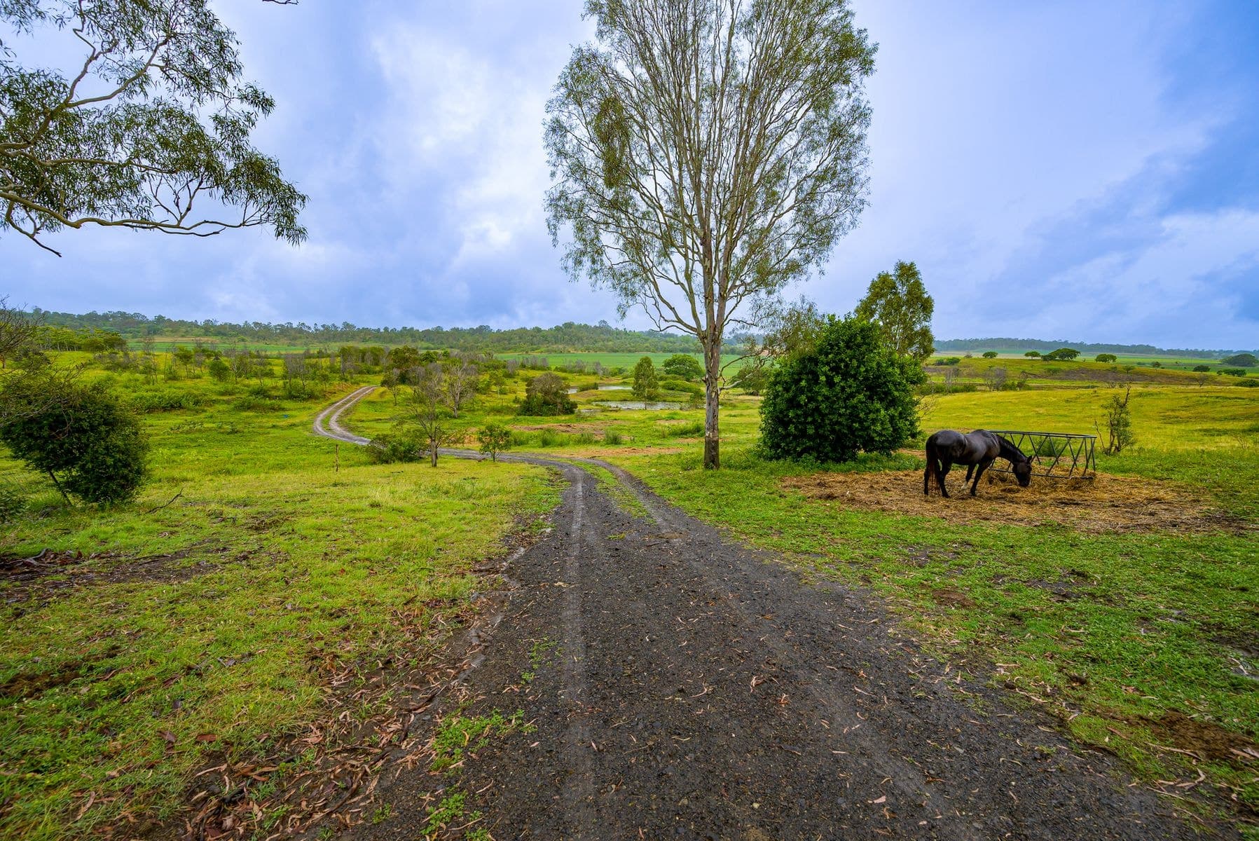 88 Mandersons Road, McIlwraith QLD 4671, McIlwraith - Image 1