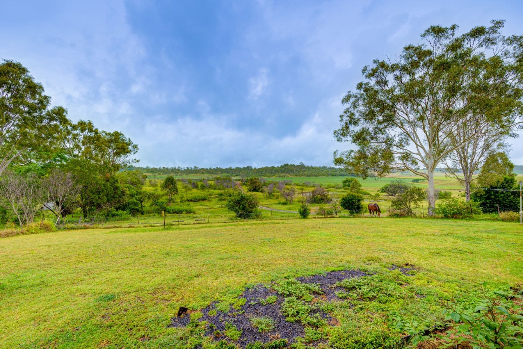 88 Mandersons Road, McIlwraith QLD 4671, McIlwraith - Thumbnail 2