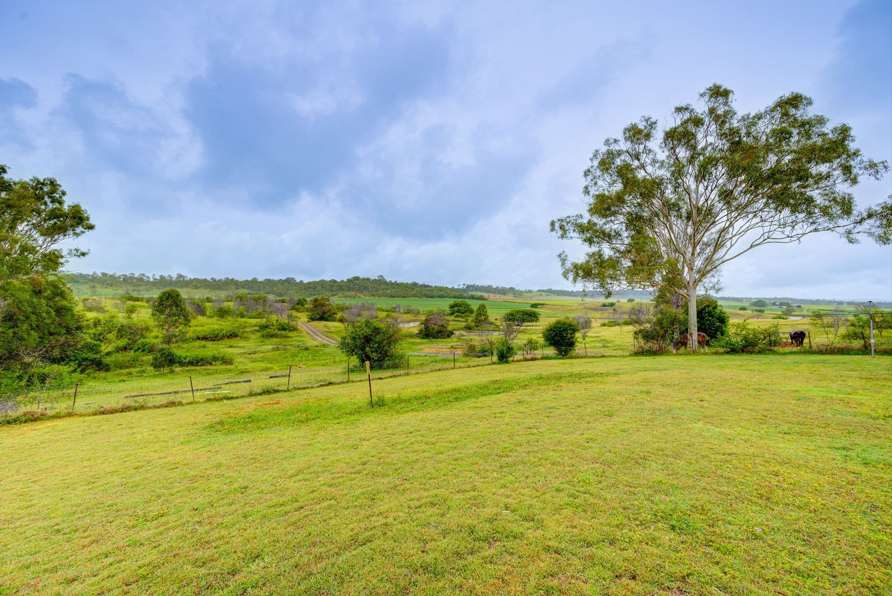 88 Mandersons Road, McIlwraith QLD 4671, McIlwraith - Thumbnail 3