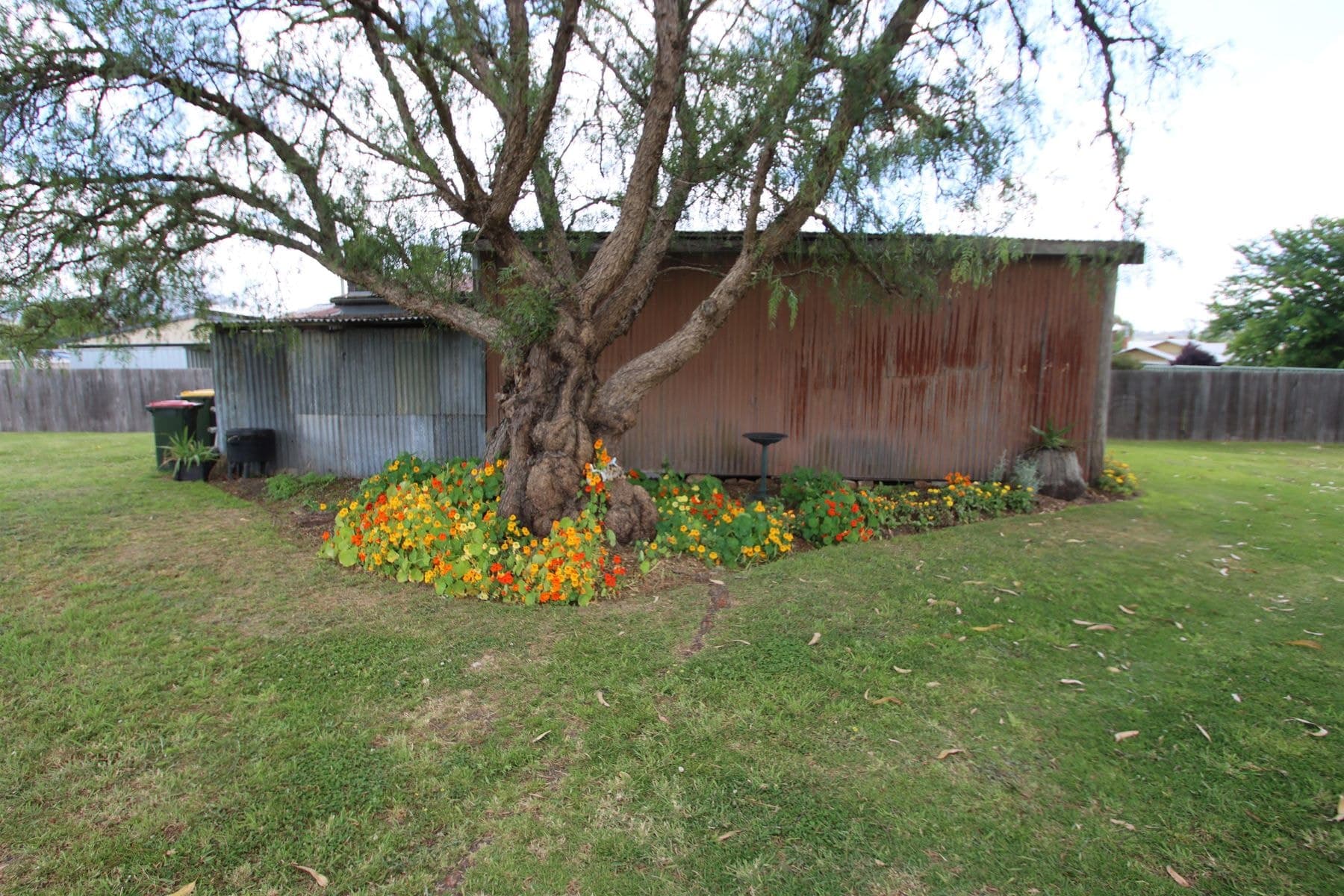 63 Clive Street, Tenterfield NSW 2372, Tenterfield - Thumbnail 3