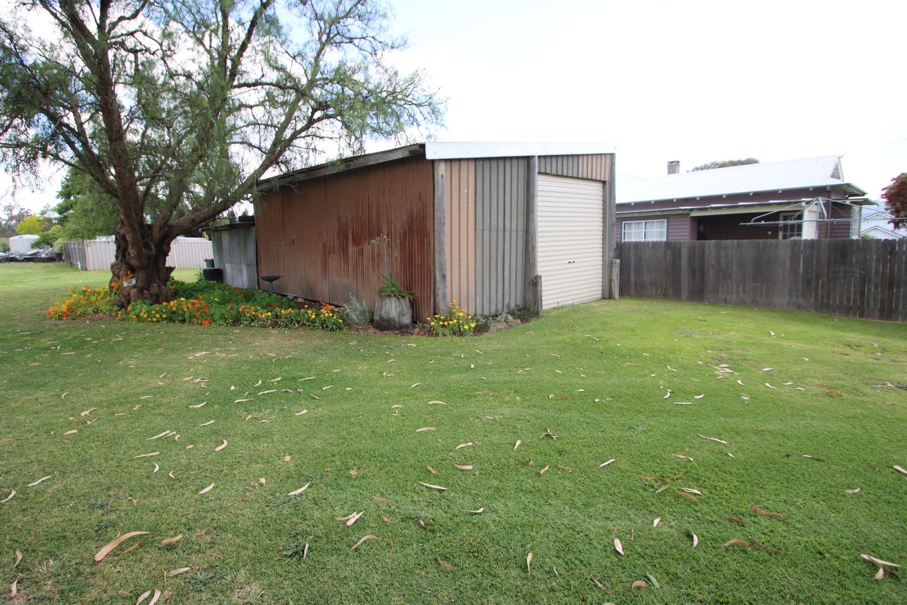 63 Clive Street, Tenterfield NSW 2372, Tenterfield - Thumbnail 7