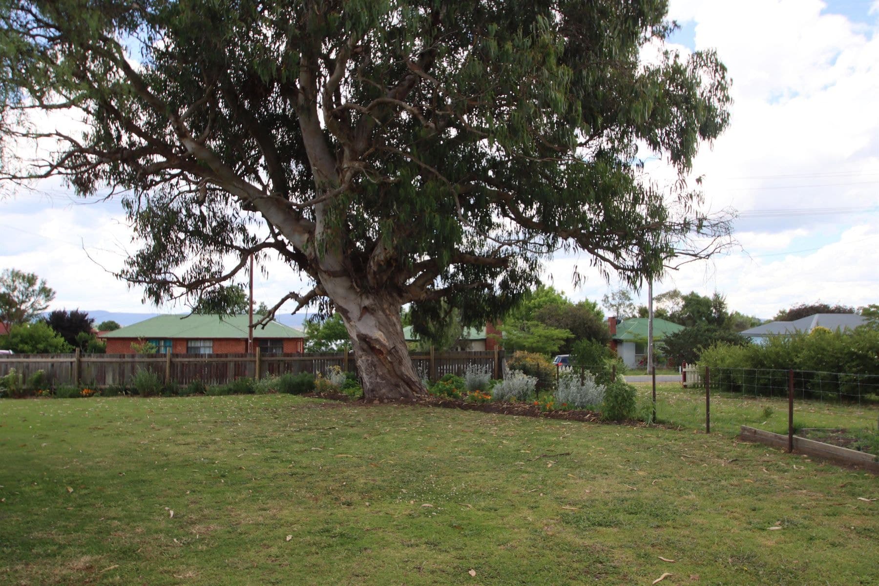 63 Clive Street, Tenterfield NSW 2372, Tenterfield - Thumbnail 8