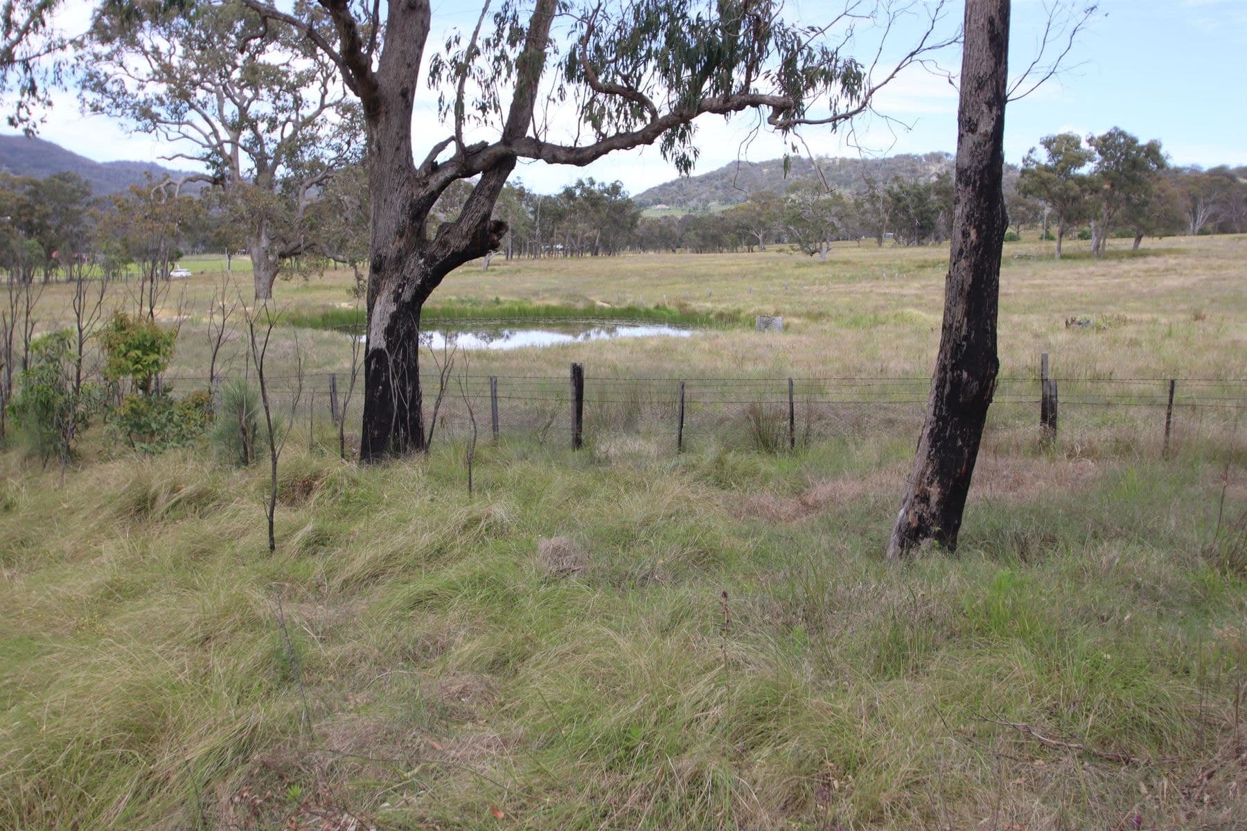 Lot 501 Neagles Lane, Tenterfield NSW 2372, Tenterfield - Image 1