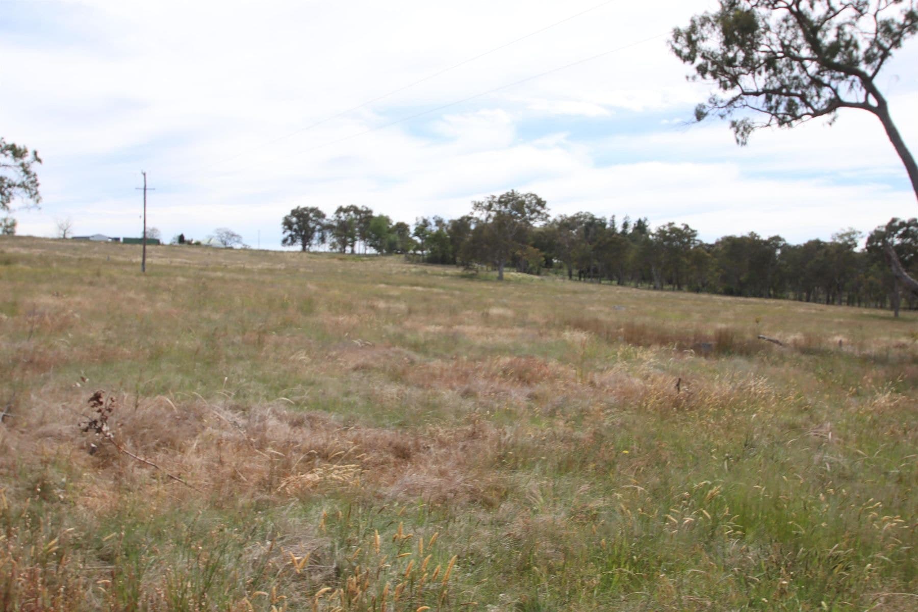 Lot 501 Neagles Lane, Tenterfield NSW 2372, Tenterfield - Thumbnail 2