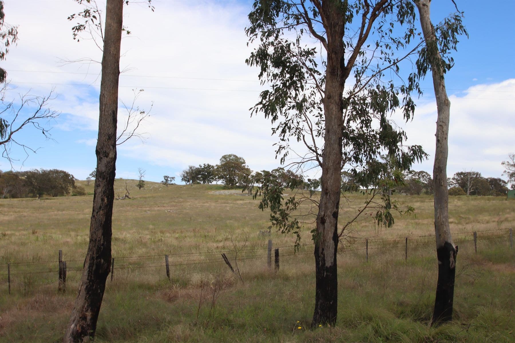 Lot 501 Neagles Lane, Tenterfield NSW 2372, Tenterfield - Thumbnail 5