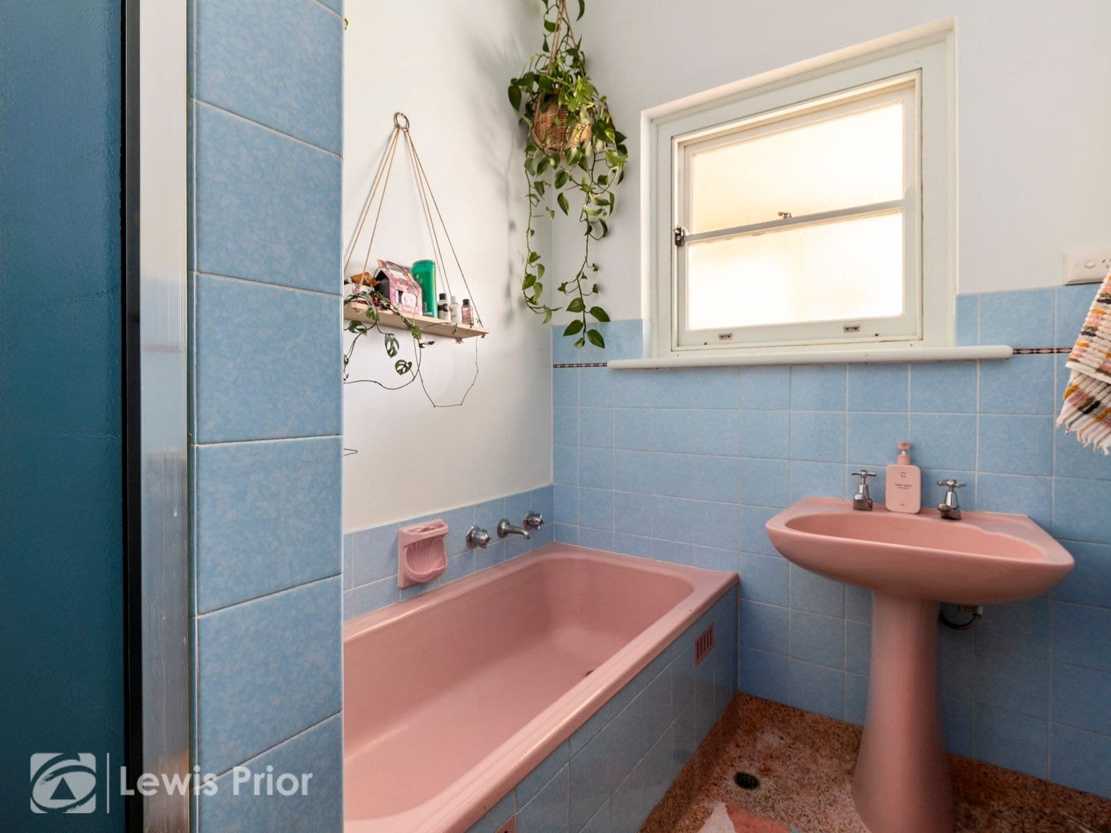 8 Betty Street, Marion SA 5043, Marion - Thumbnail 8
