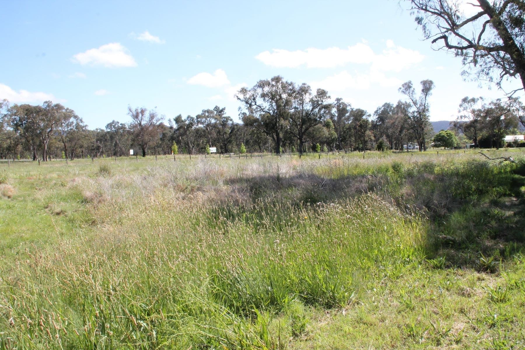 45-47 Glenlyon Street, Jennings NSW 4383, Jennings - Thumbnail 2