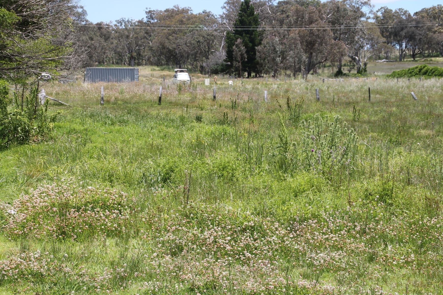 45-47 Glenlyon Street, Jennings NSW 4383, Jennings - Thumbnail 6