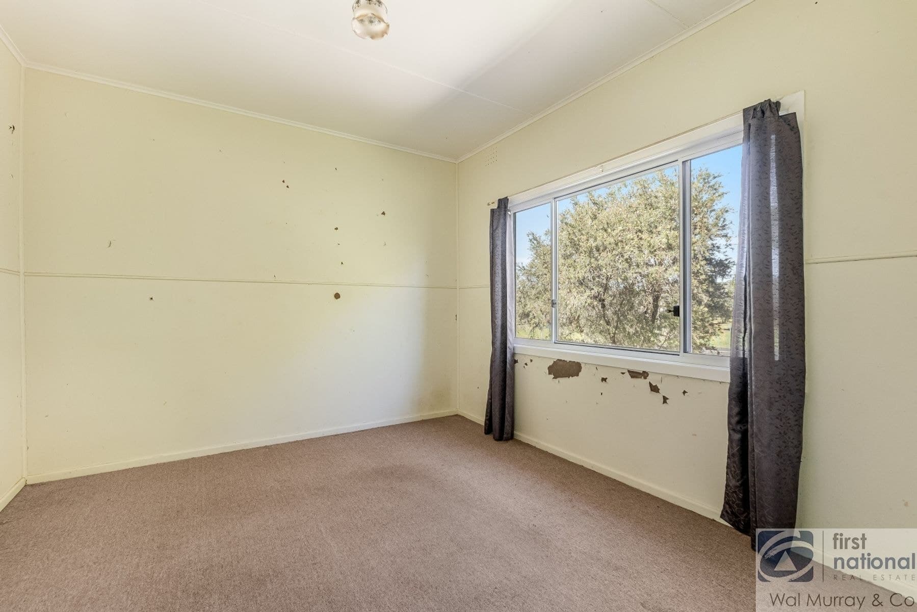 864 Dunoon Road, Modanville NSW 2480, Modanville - Thumbnail 6