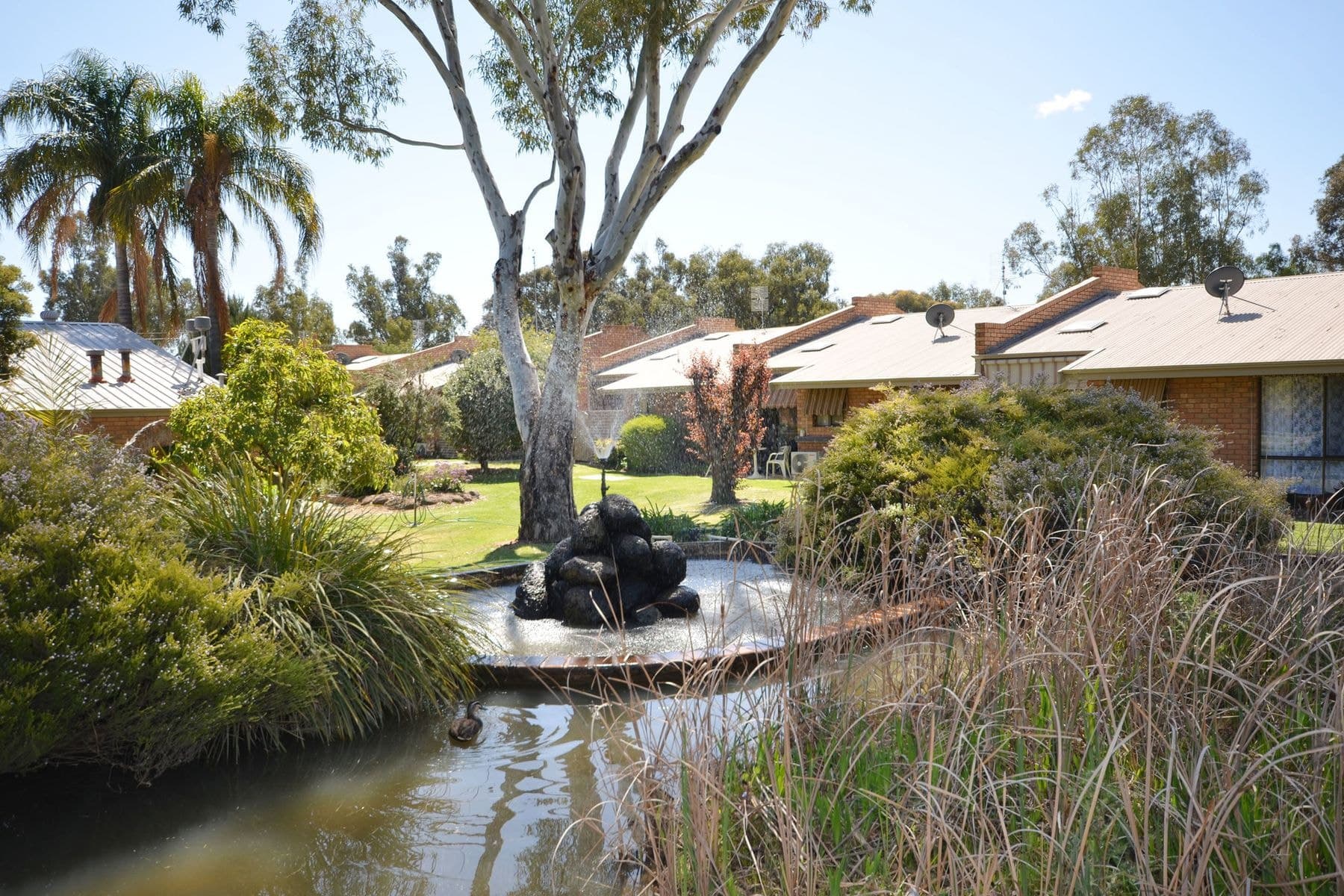 66/60-61 Regent Street, Moama NSW 2731, Moama - Thumbnail 3