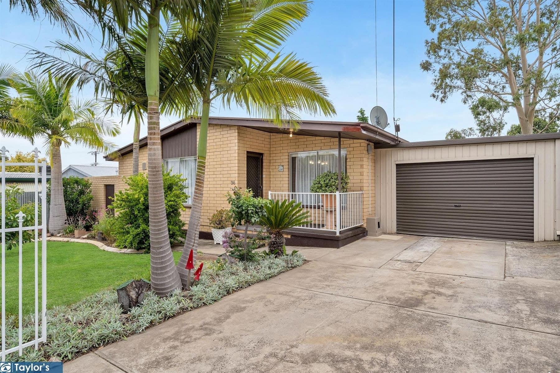 36 Baldock Road, Ingle Farm SA 5098, Ingle Farm - Thumbnail 2