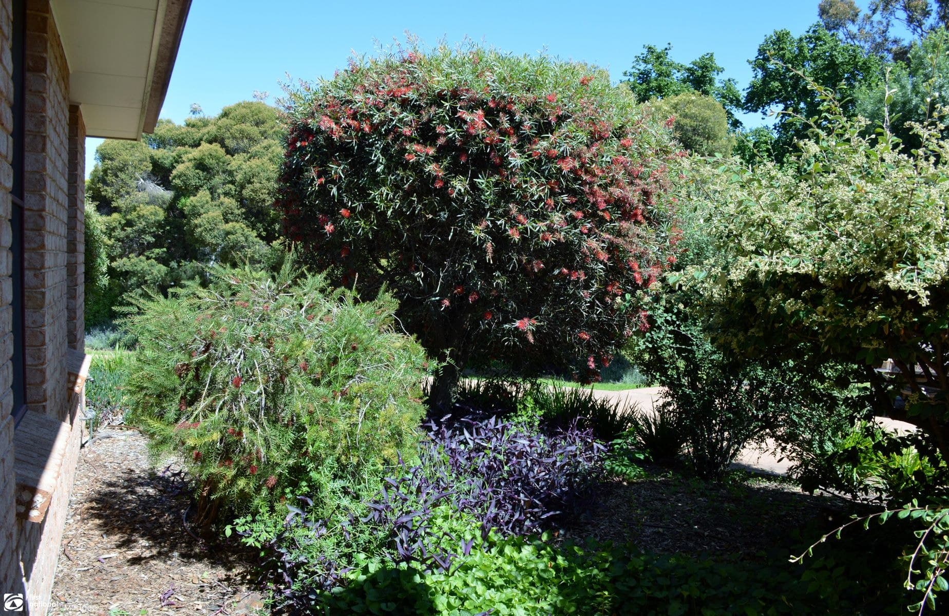 4/35 Lawson Street, Mudgee NSW 2850, Mudgee - Thumbnail 2