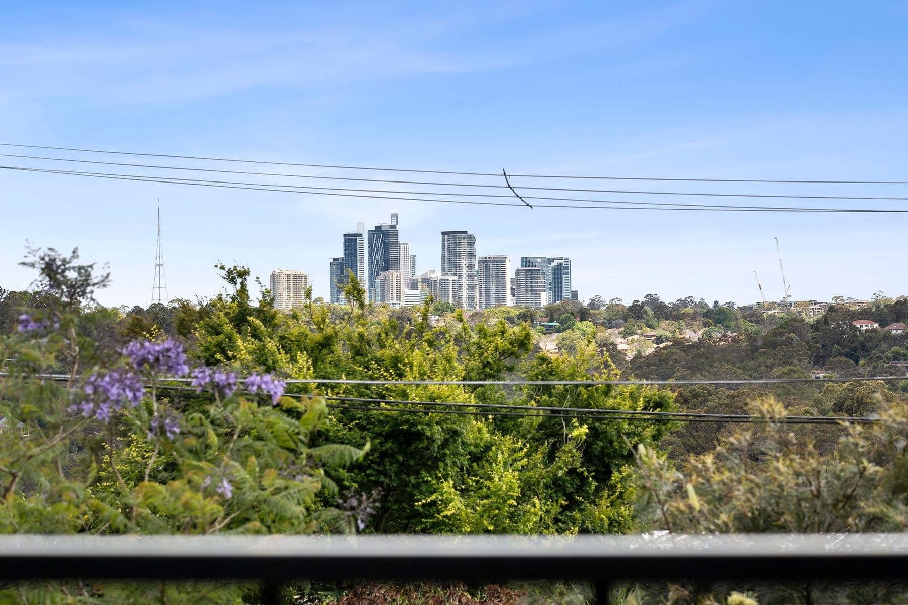10 Lolita Avenue, Forestville NSW 2087, Forestville - Thumbnail 4