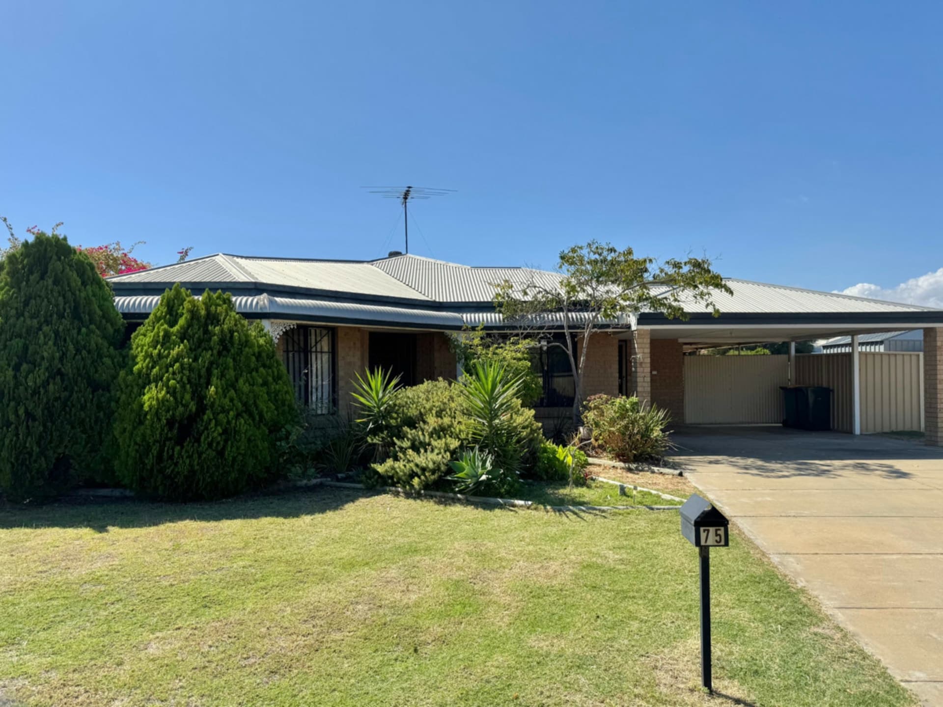 75 Templetonia Promenade, Halls Head, Halls Head - Thumbnail 2