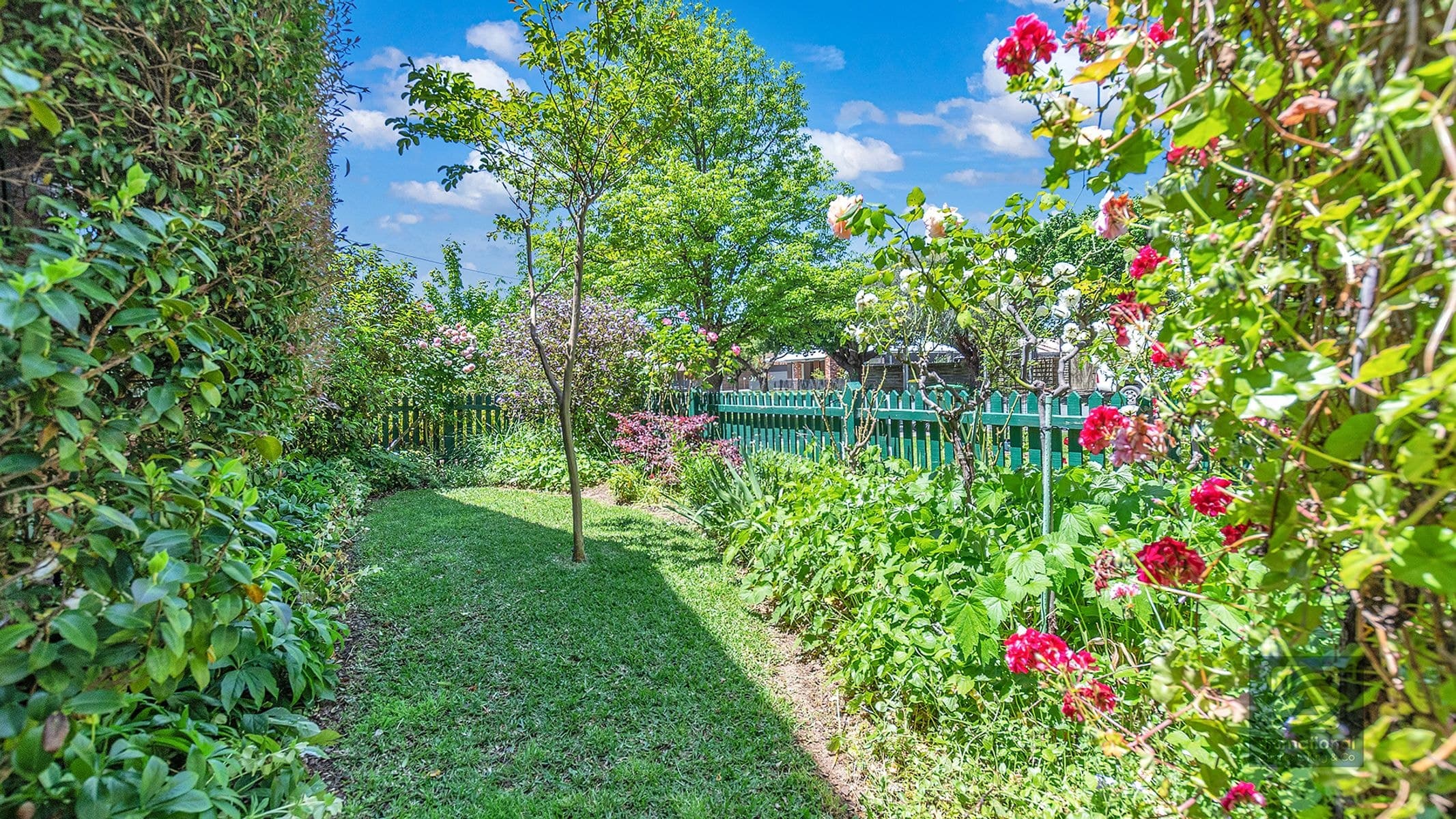 72 Francis Street, Echuca VIC 3564, Echuca - Thumbnail 5