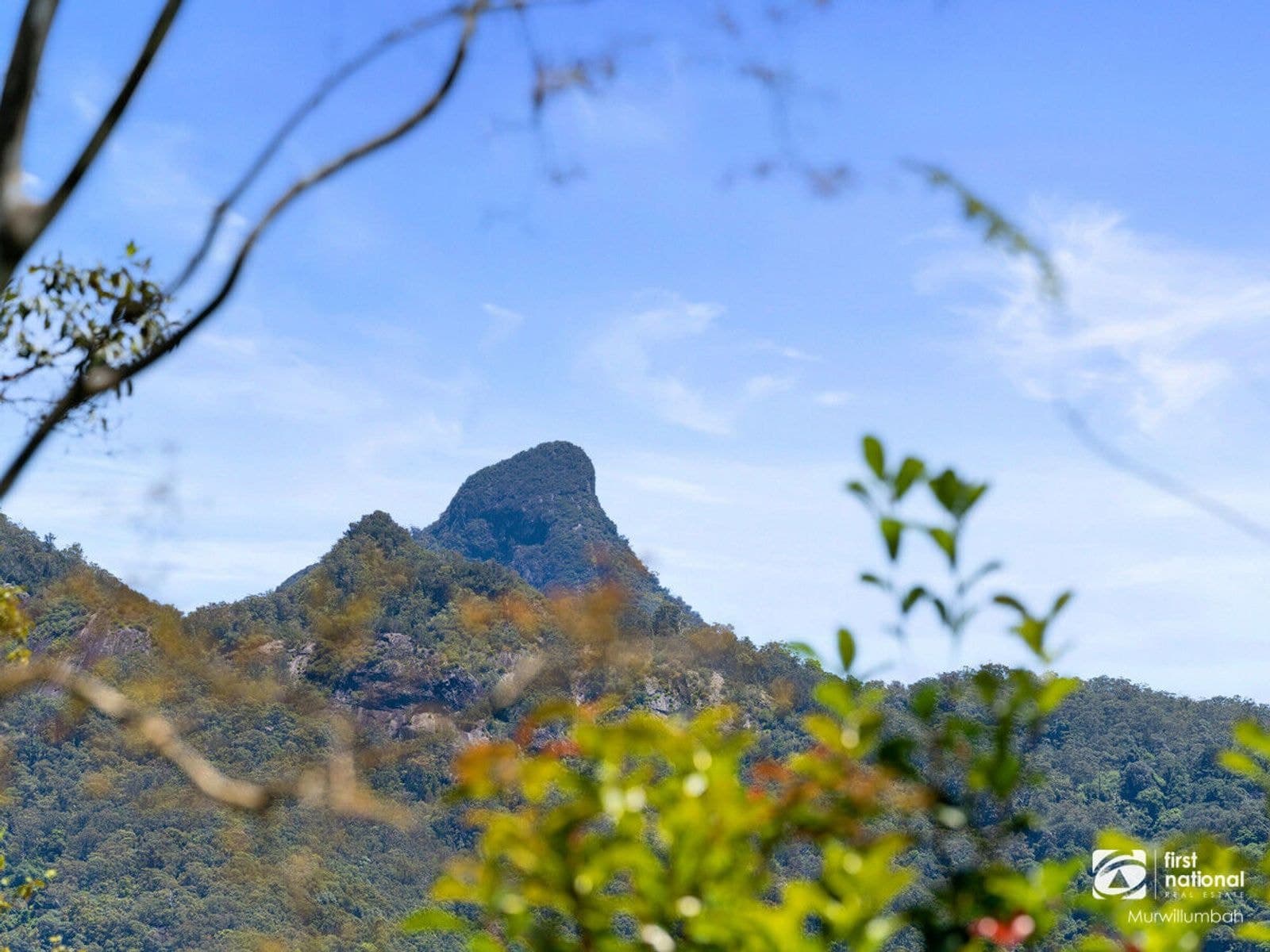 1495 Kyogle Road, Uki NSW 2484, Uki - Thumbnail 4