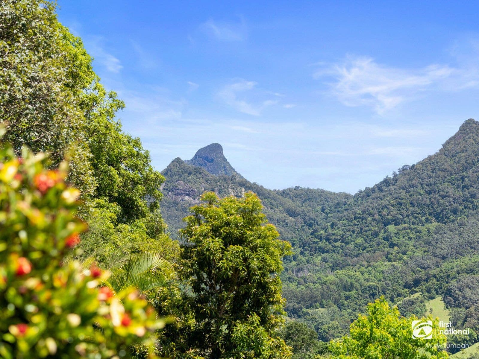 1495 Kyogle Road, Uki NSW 2484, Uki - Thumbnail 5