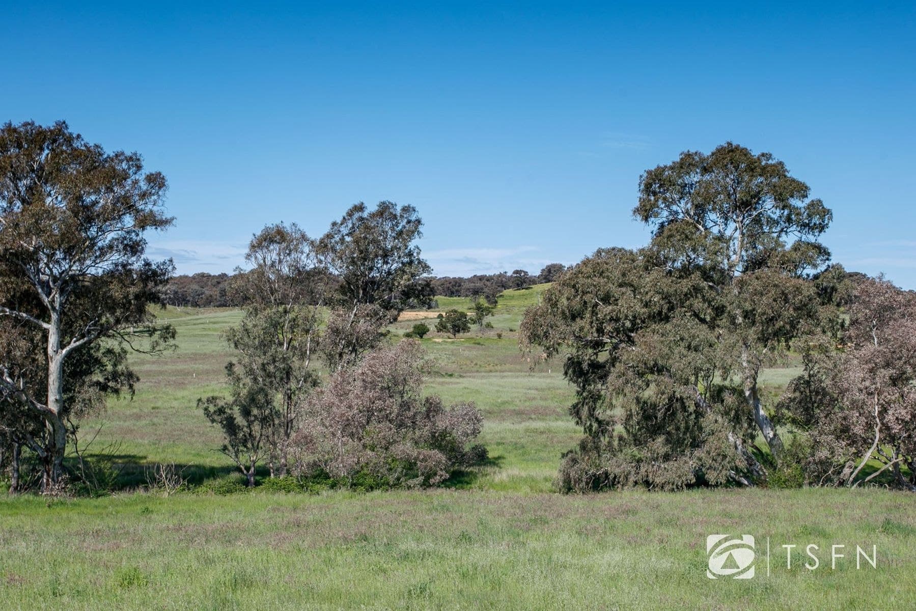 Lot 6 Wicker Court, Sedgwick VIC 3551, Sedgwick - Thumbnail 6