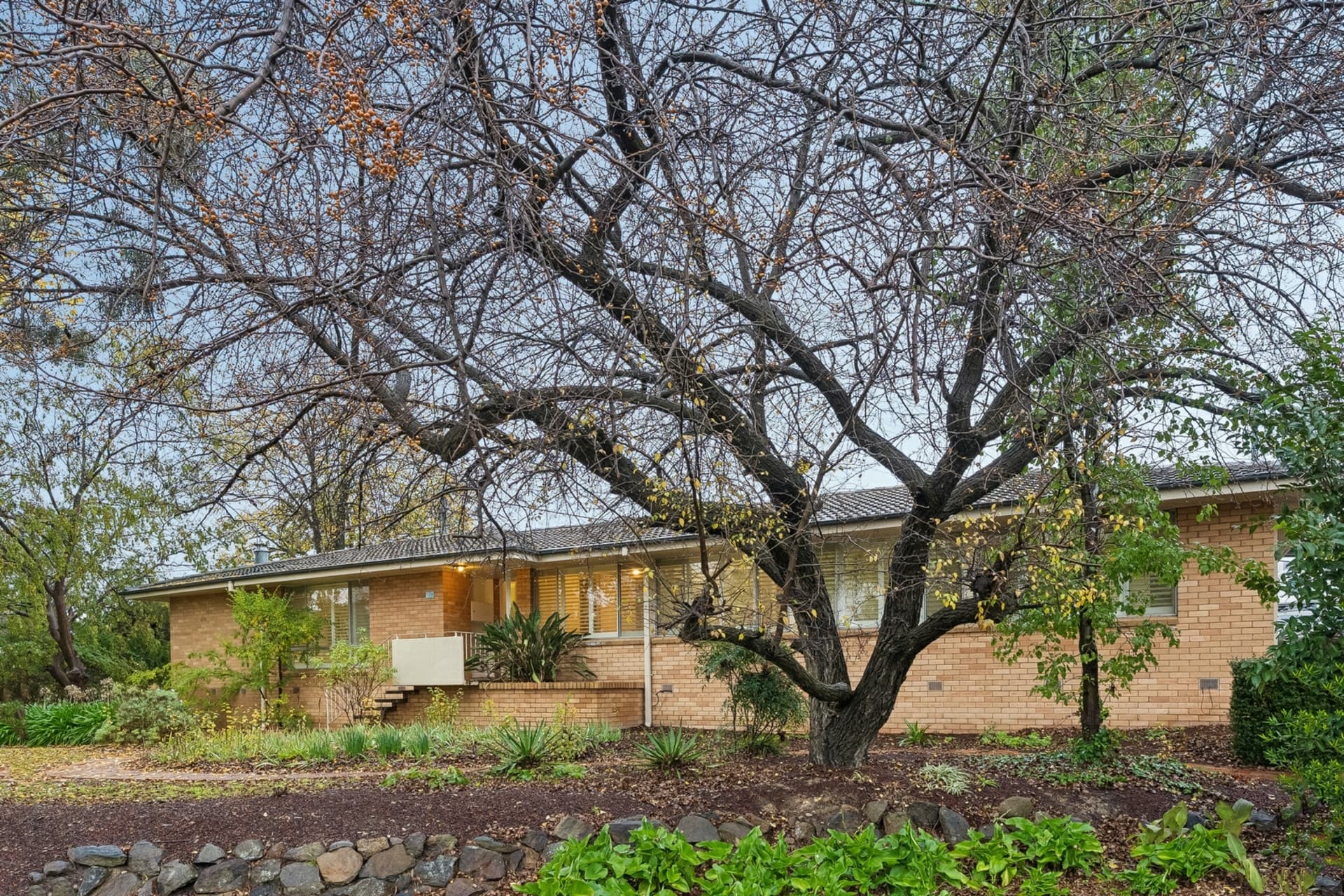 19 Basedow Street, Torrens, Torrens - Thumbnail 2