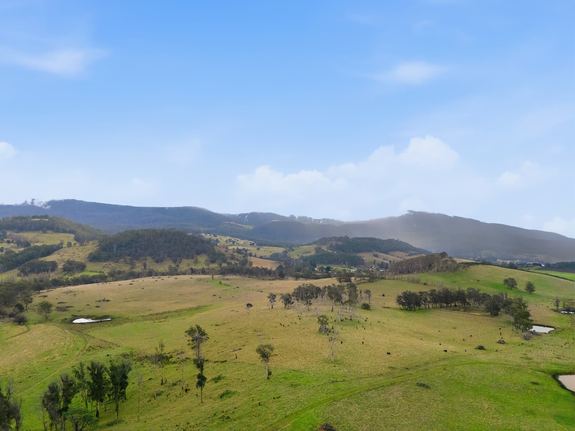 820 Ellendale Road, ELLENDALE, TAS, Ellendale - Thumbnail 5