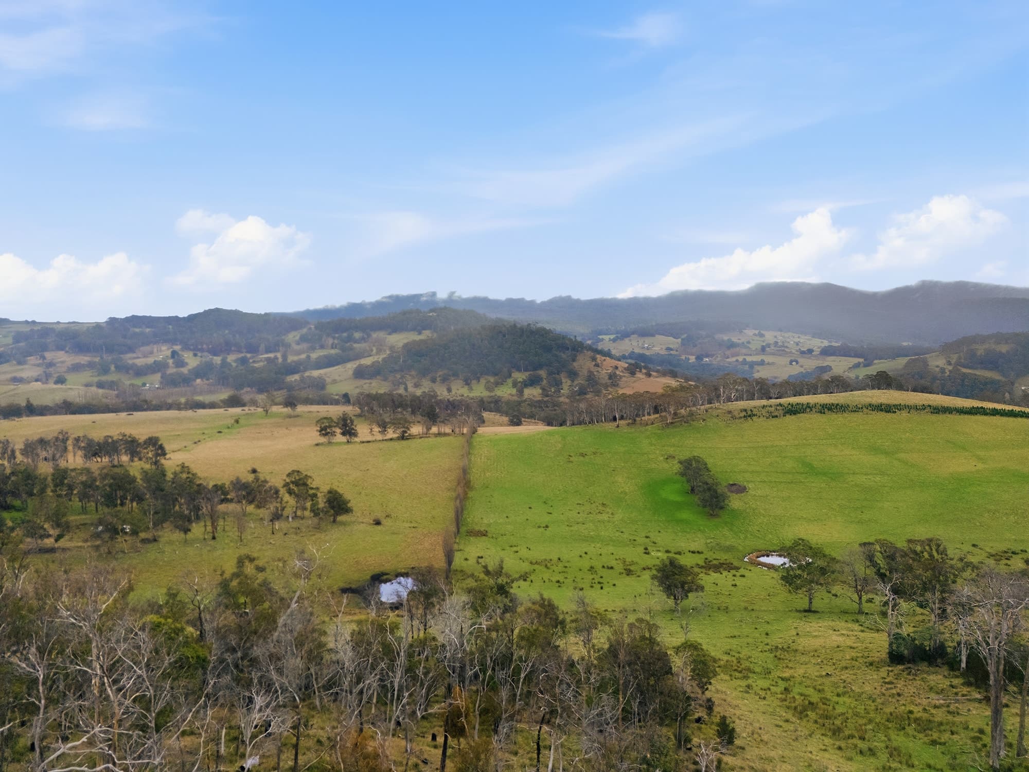 820 Ellendale Road, ELLENDALE, TAS, Ellendale - Thumbnail 6