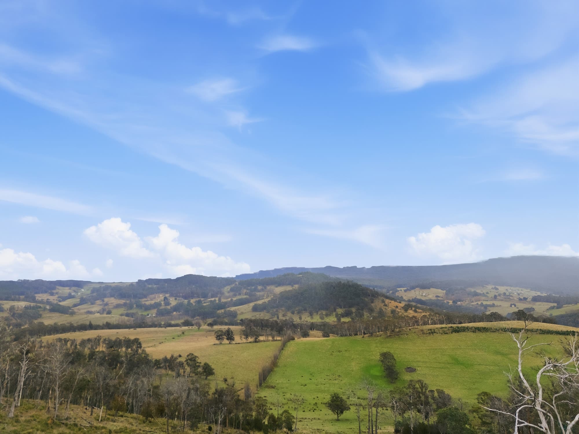 820 Ellendale Road, ELLENDALE, TAS, Ellendale - Thumbnail 8