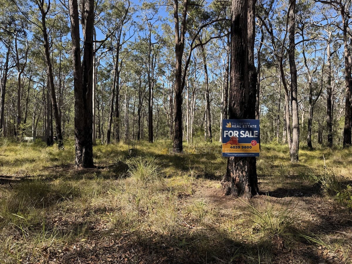 Lot 1495 Lismore Road, North Arm Cove NSW 2324, North Arm Cove - Thumbnail 2