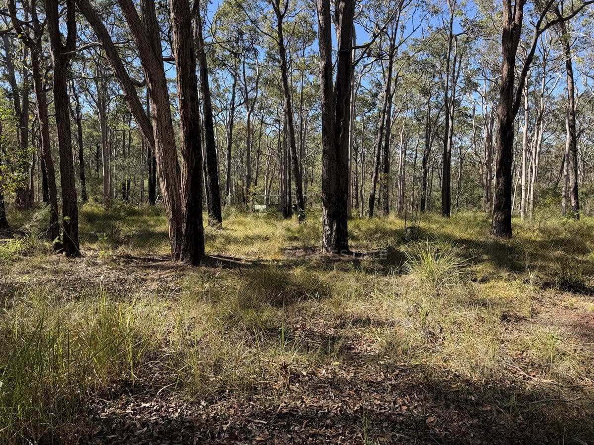 Lot 1495 Lismore Road, North Arm Cove NSW 2324, North Arm Cove - Thumbnail 5