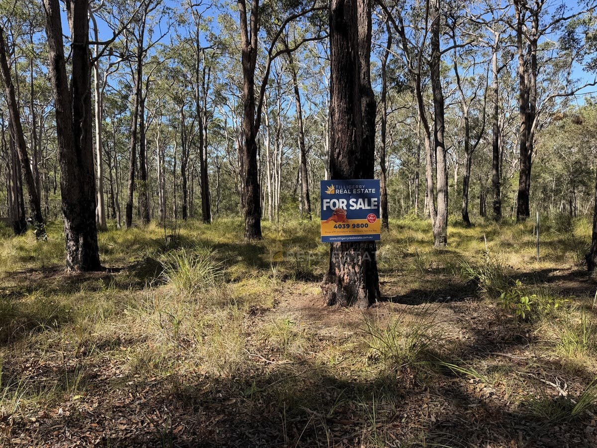 Lot 1495 Lismore Road, North Arm Cove NSW 2324, North Arm Cove - Thumbnail 6