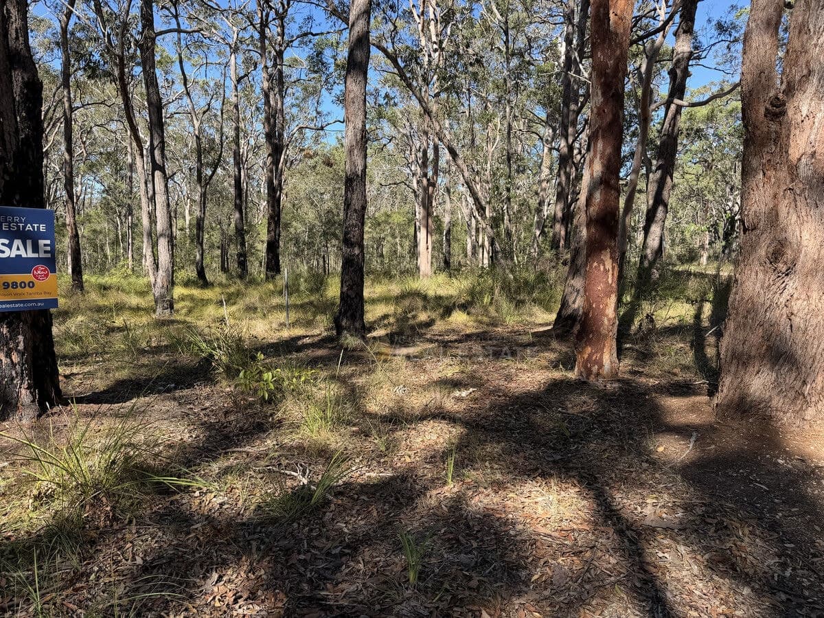 Lot 1495 Lismore Road, North Arm Cove NSW 2324, North Arm Cove - Thumbnail 7