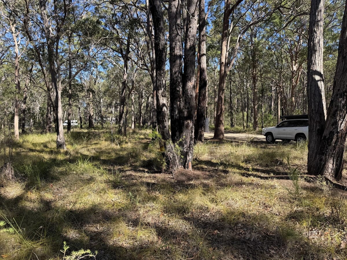 Lot 1495 Lismore Road, North Arm Cove NSW 2324, North Arm Cove - Thumbnail 8