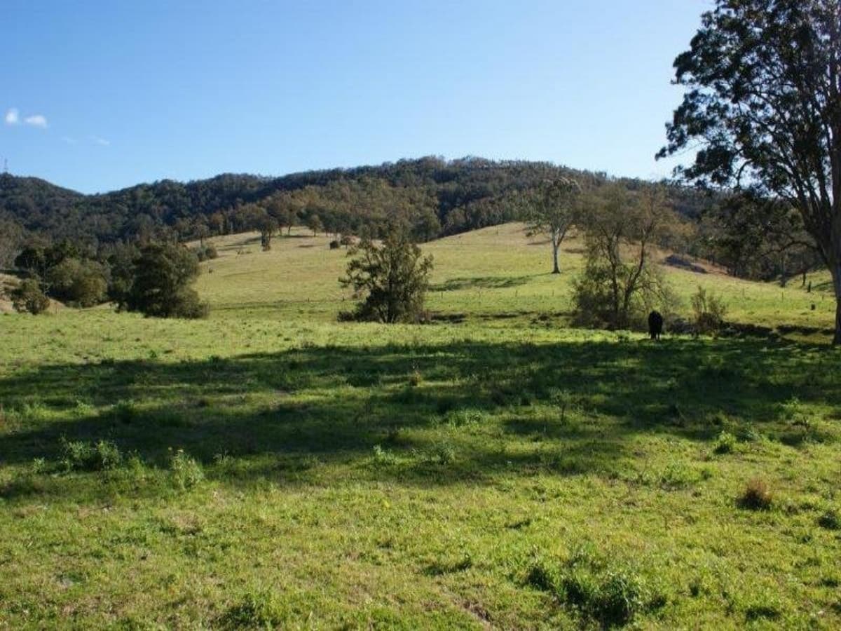 10.6ha(26.19ac)..dual Road Frontage With Dam!!, Contact Us, Singleton - Thumbnail 2
