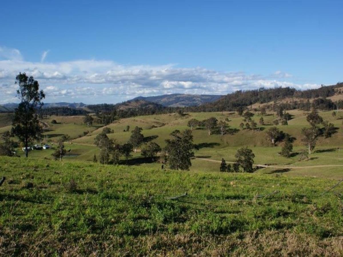 10.6ha(26.19ac)..dual Road Frontage With Dam!!, Contact Us, Singleton - Thumbnail 4