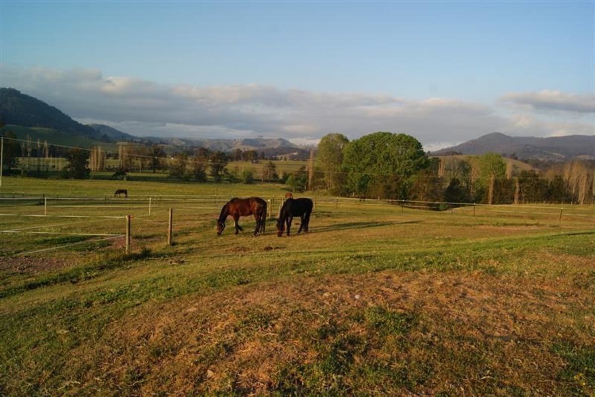 1342 Glendonbrook Road, SINGLETON NSW 2330, Singleton - Thumbnail 2