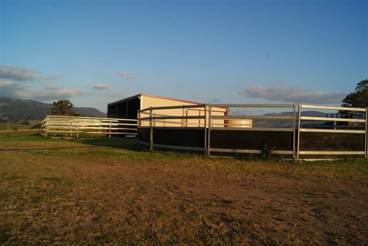 1342 Glendonbrook Road, SINGLETON NSW 2330, Singleton - Thumbnail 3