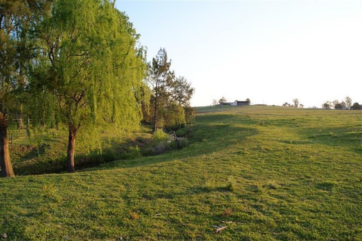 1342 Glendonbrook Road, SINGLETON NSW 2330, Singleton - Thumbnail 7