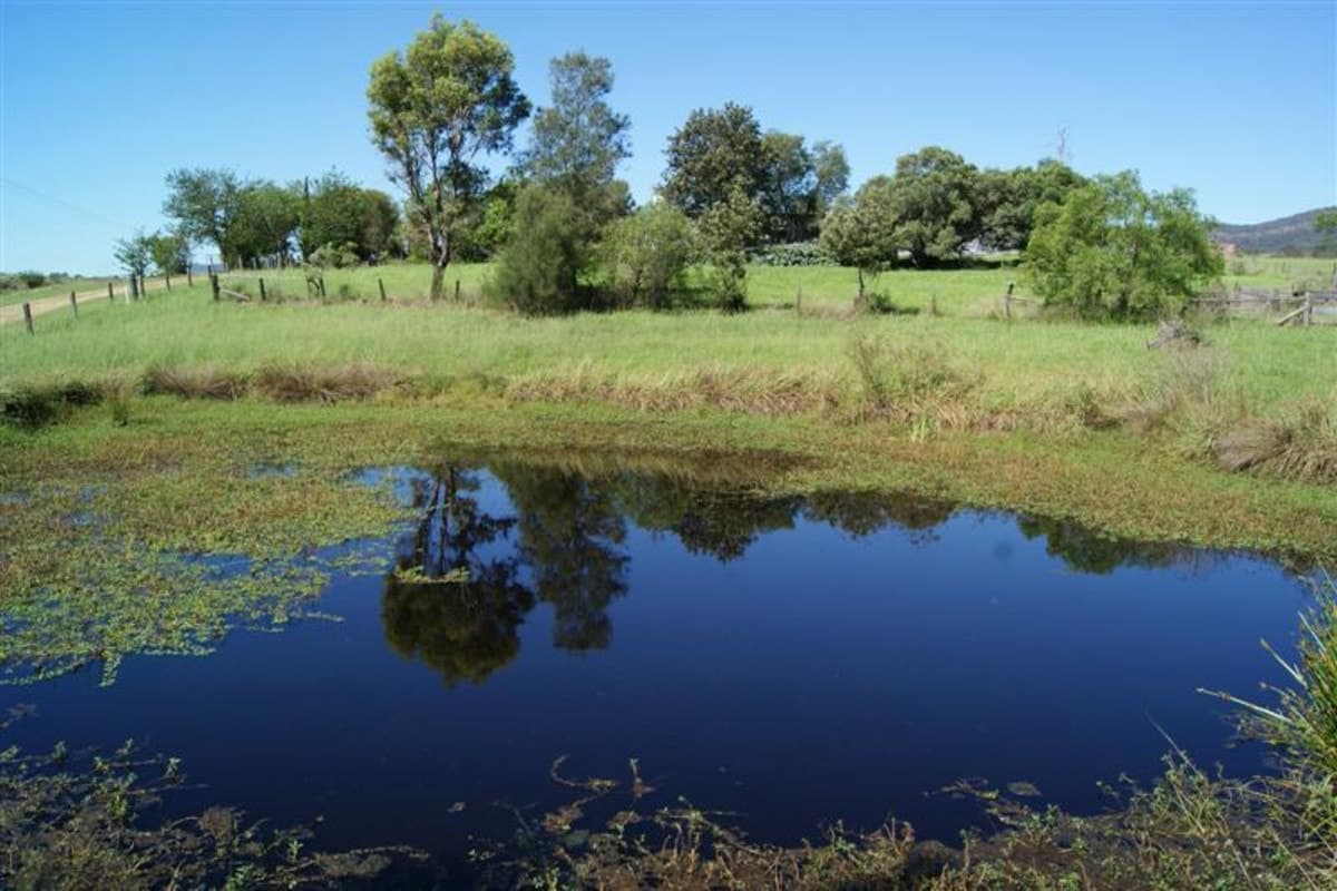 416 Glendonbrook Road, SINGLETON NSW 2330, Singleton - Thumbnail 2