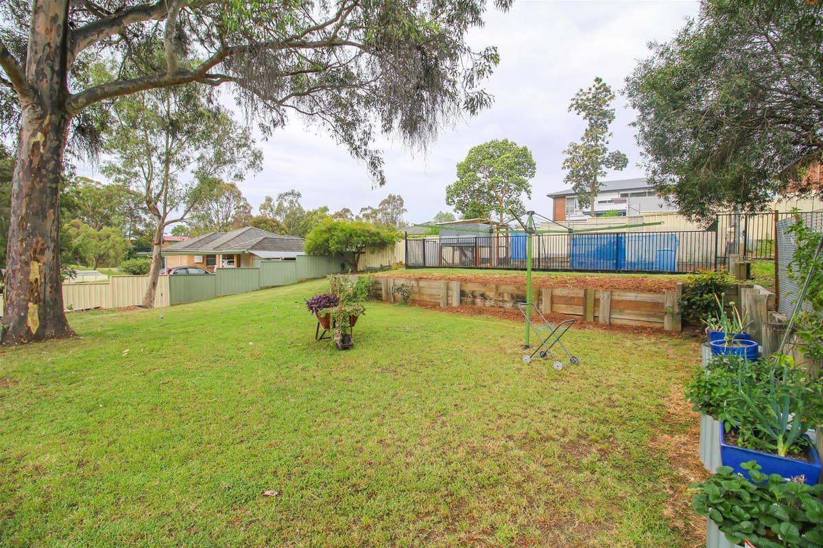 13 Lachlan Avenue, Singleton NSW 2330, Singleton - Thumbnail 4