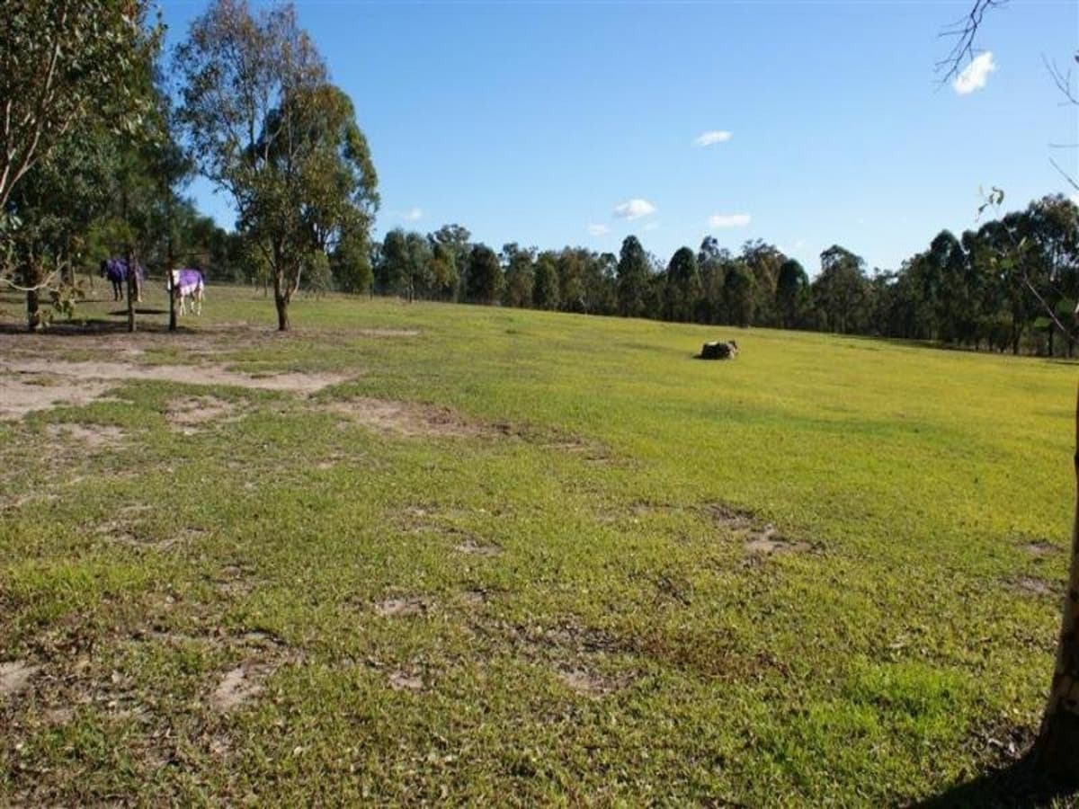 41 Miller Road, MOUNT OLIVE NSW 2330, Mount Olive - Thumbnail 4