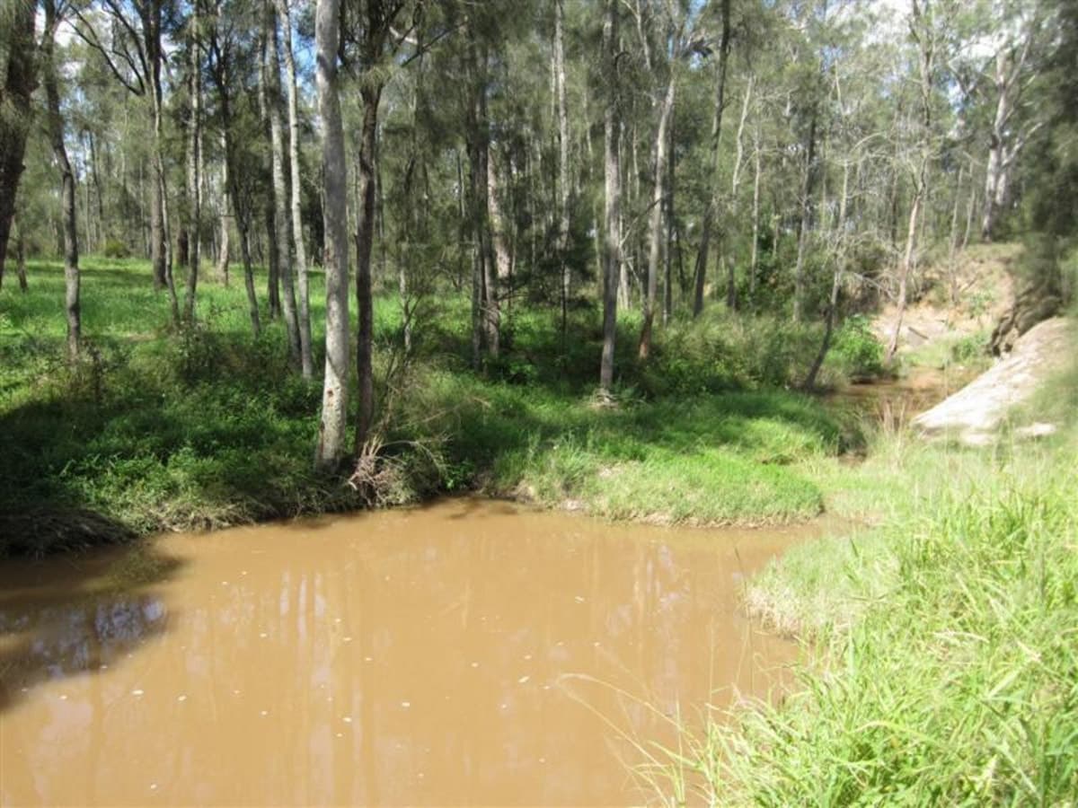 596 Dyrring Road, SINGLETON NSW 2330, Singleton - Thumbnail 7