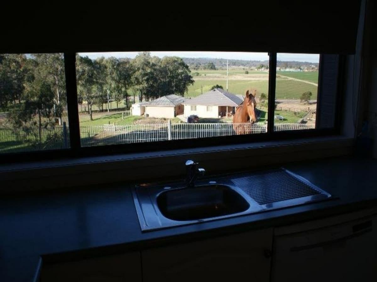 30 Falkiner Crescent, SINGLETON NSW 2330, Singleton - Thumbnail 8