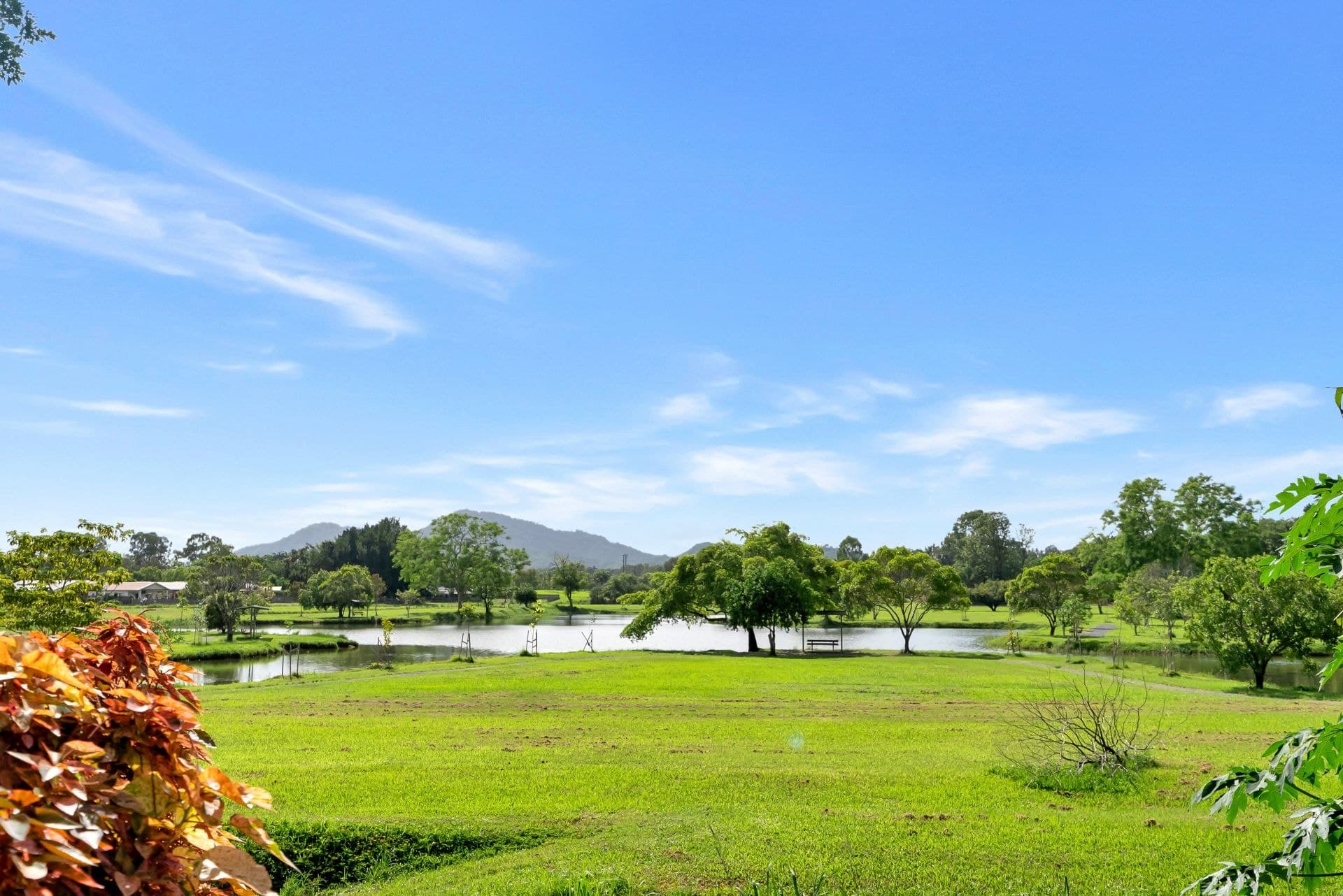46 Impey Street, Caravonica QLD, Caravonica - Thumbnail 4