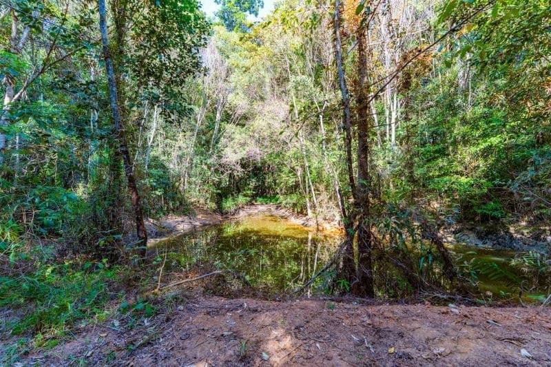 48 Sanctuary Close, Speewah QLD, Speewah - Thumbnail 5