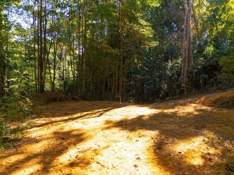 48 Sanctuary Close, Speewah QLD, Speewah - Thumbnail 7