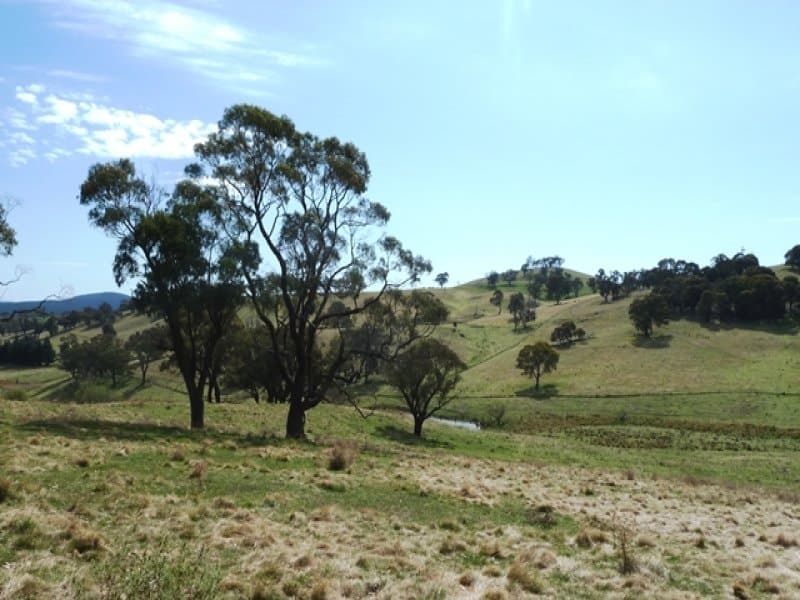 Lot 2, 660 Icely Road, Orange, NSW, Orange - Image 1