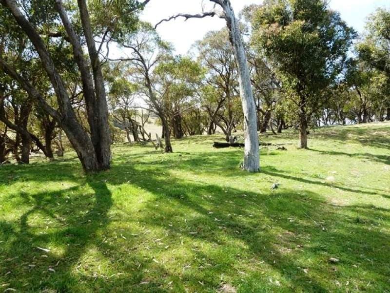 Lot 2, 660 Icely Road, Orange, NSW, Orange - Thumbnail 4
