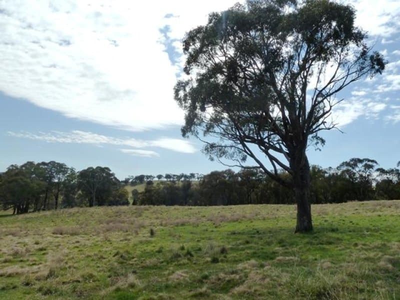 Lot 2, 660 Icely Road, Orange, NSW, Orange - Thumbnail 5