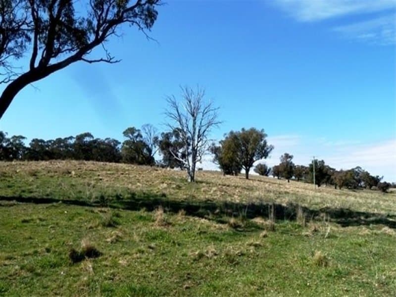 Lot 2, 660 Icely Road, Orange, NSW, Orange - Thumbnail 6