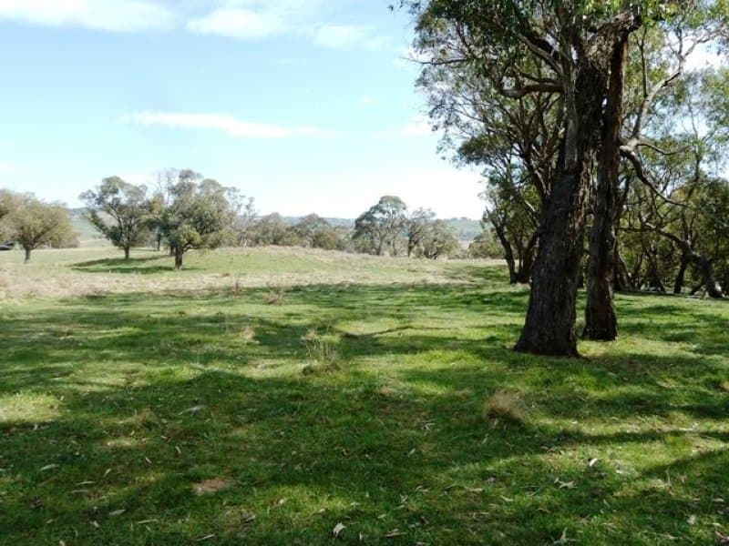 Lot 2, 660 Icely Road, Orange, NSW, Orange - Thumbnail 7